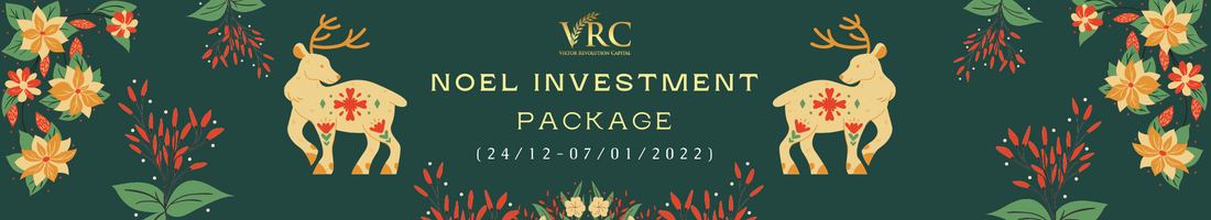 NOEL INVESTMENT PACKAGE